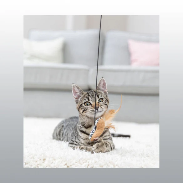 Canne à pêche Coeur Leo chat