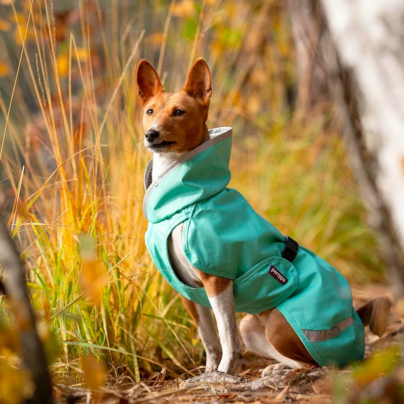 Pomppa Sade manteau imperméable pour chien Mint
