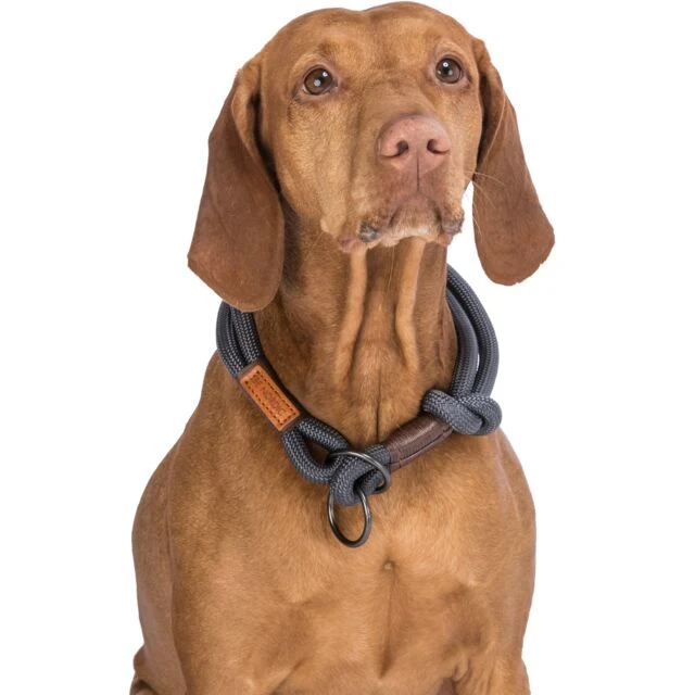 BE NORDIC COLLIER CHIEN EN CORDE
