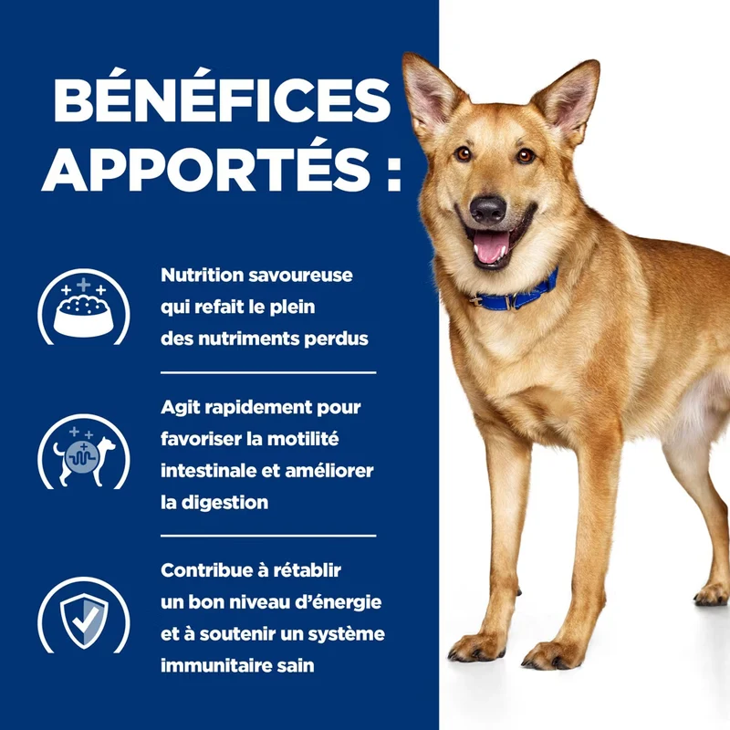 Hill's Prescription Diet I/D AB+ boîtes pour chien à la dinde - 3x360g