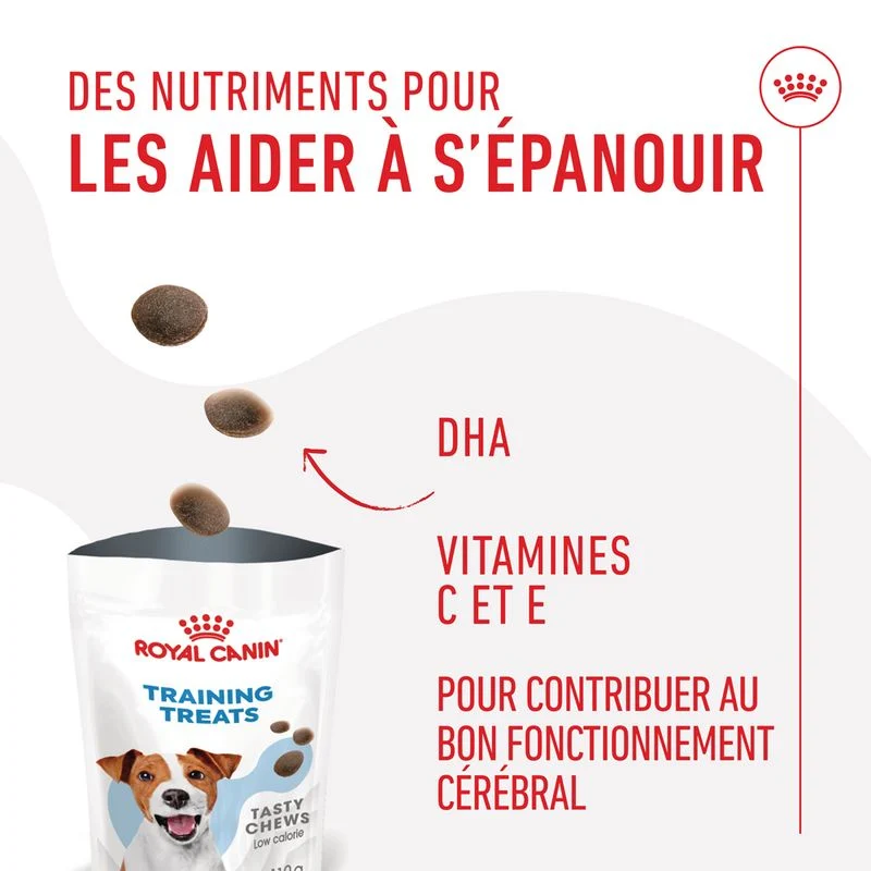 Royal Canin Training Treats chien