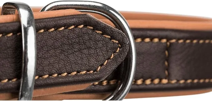 COLLIER ACTIVE COMFORT