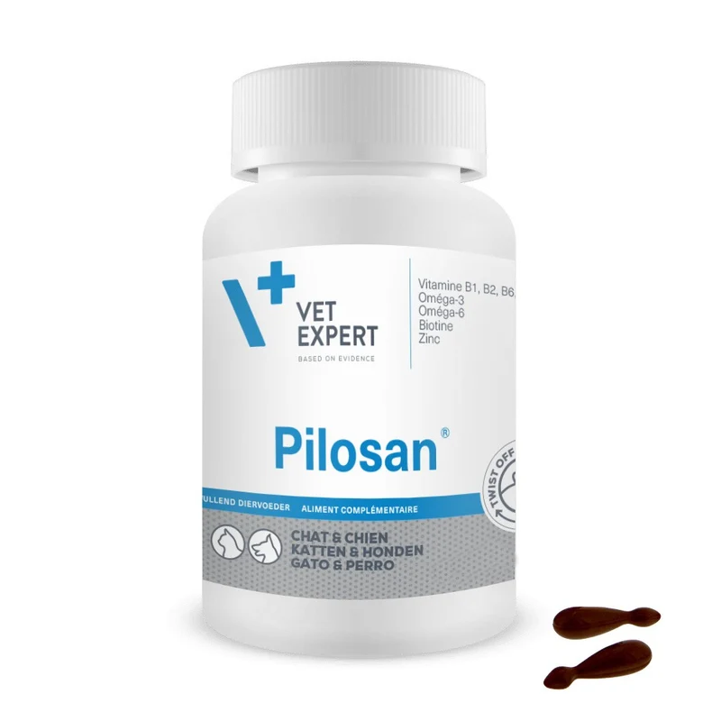 Pilosan
