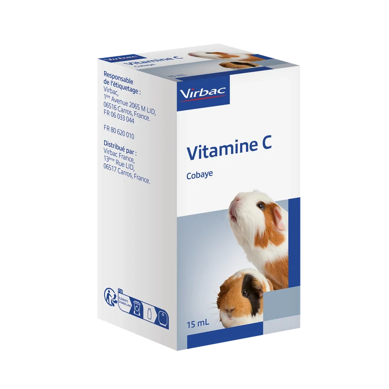 Vitamine C cobaye