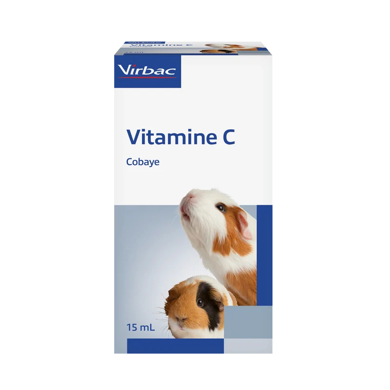 Vitamine C cobaye
