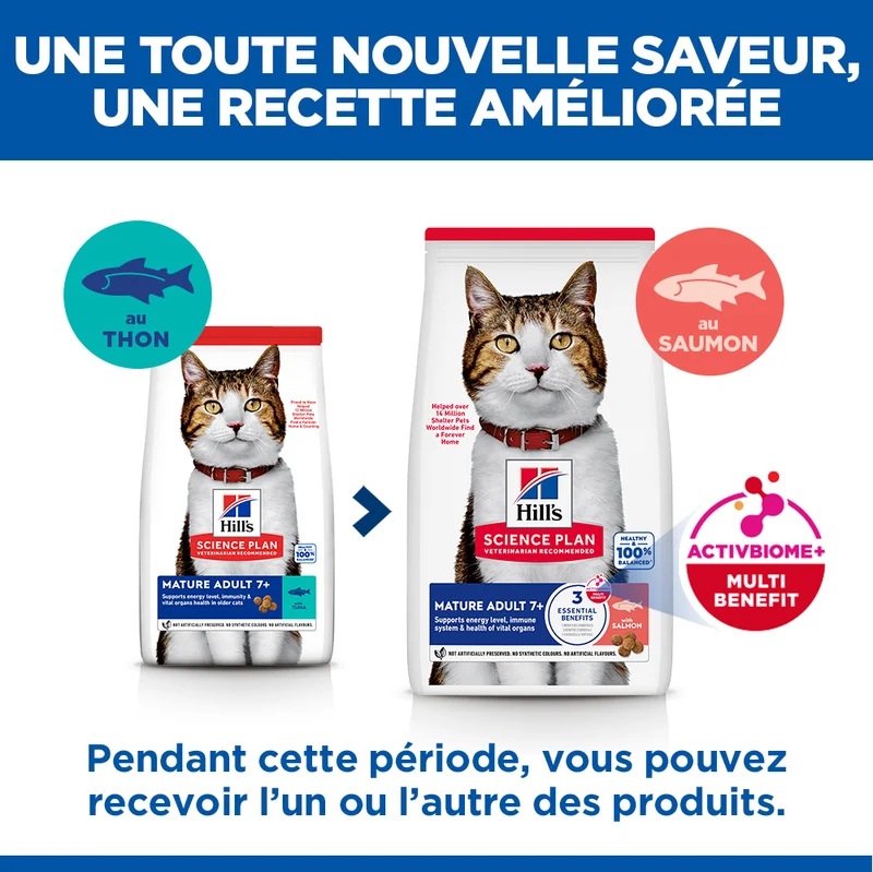 Hill's Science Plan Mature - Croquettes pour Chat Mature au Saumon 10 kg