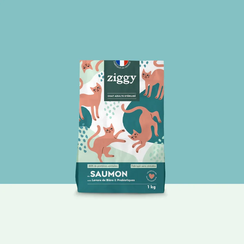 Ziggy adulte stérilisé au saumon - croquettes chat