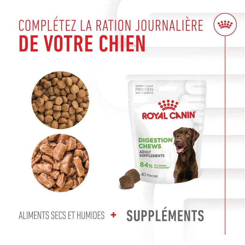 Aliment complémentaire Adult Digestion Chews chien