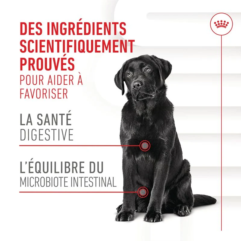 Aliment complémentaire Adult Digestion Chews chien