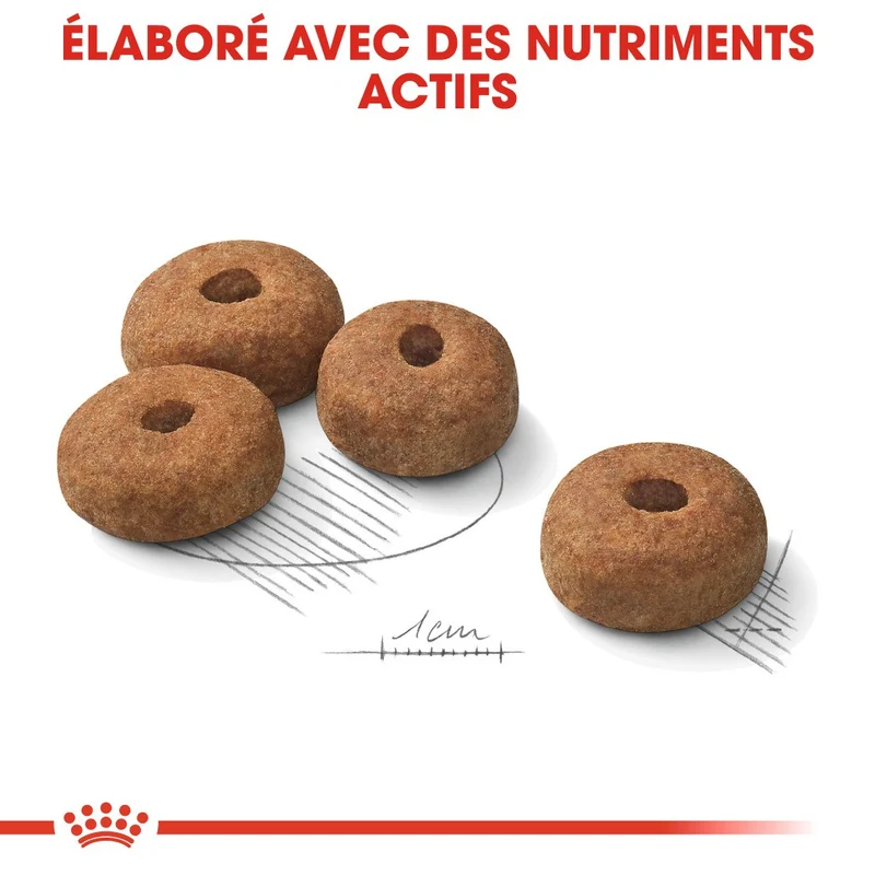 Royal Canin Maxi Sterilised - Croquettes pour chien 12kg