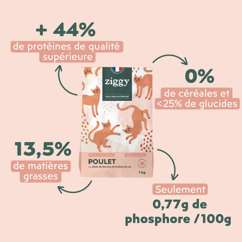 Ziggy Adulte Stérilisé au poulet - croquettes chat