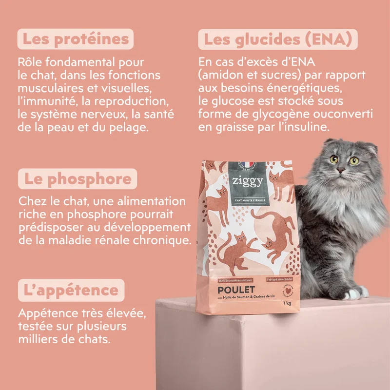 Ziggy Adulte Stérilisé au poulet - croquettes chat