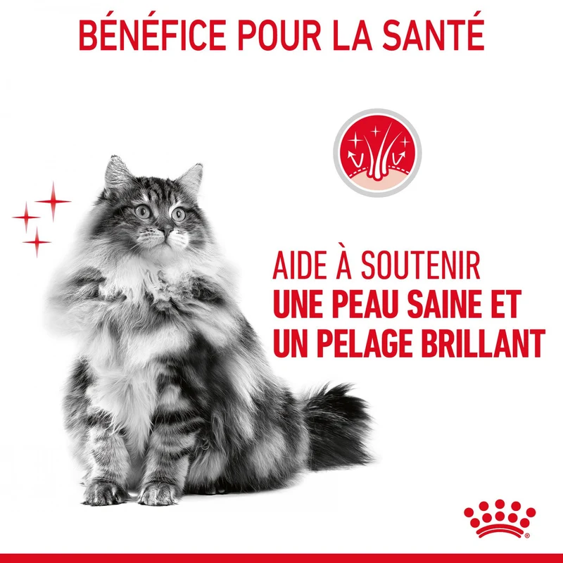 Royal Canin Hair & Skin Care - croquettes chat