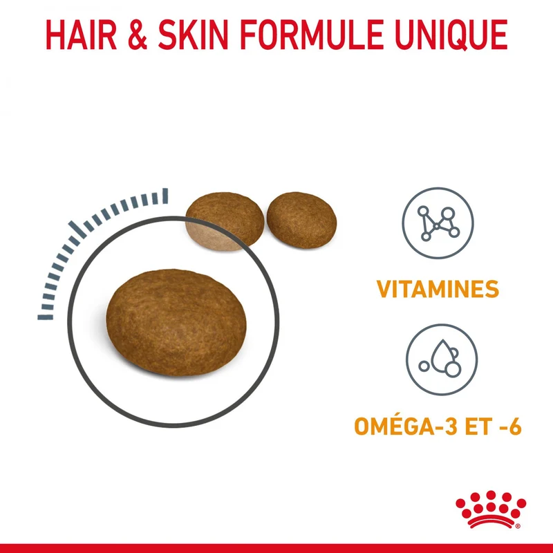 Royal Canin Hair & Skin Care - croquettes chat