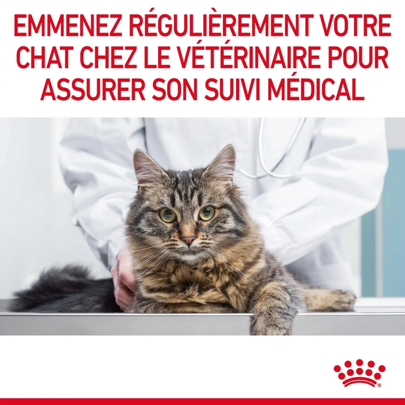 Royal Canin Hair & Skin Care - croquettes chat