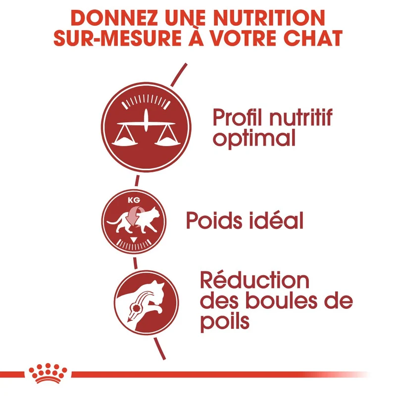 Royal Canin Fit 32 - croquettes chat