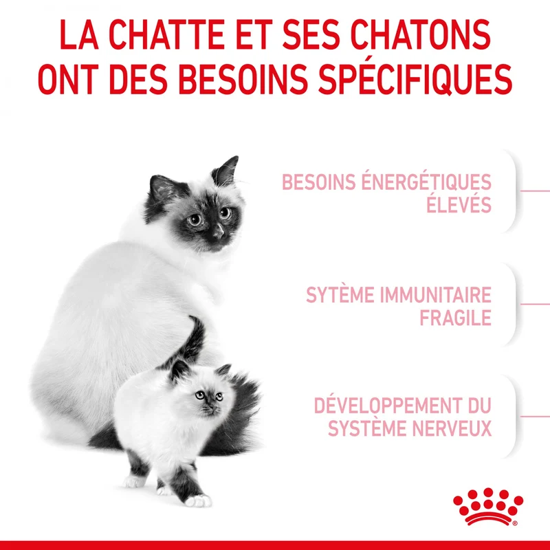 Royal Canin Mother & Babycat - croquettes chatte, chaton