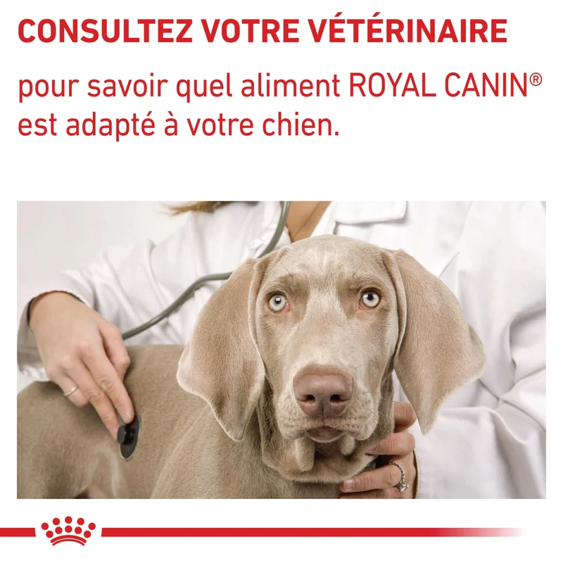 Royal Canin Veterinary Adult Large Dog - croquettes chien