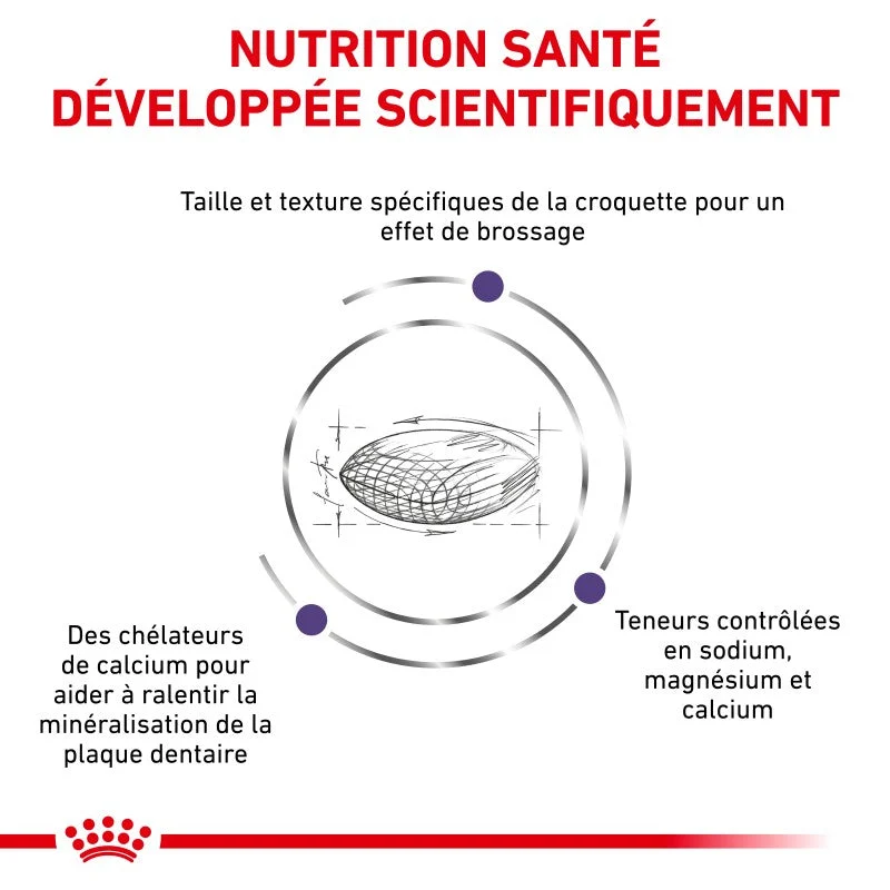 Royal Canin Ehn Chien Small Dental - croquettes chien