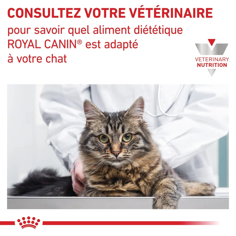 Royal Canin Veterinary Mobility - croquettes chat