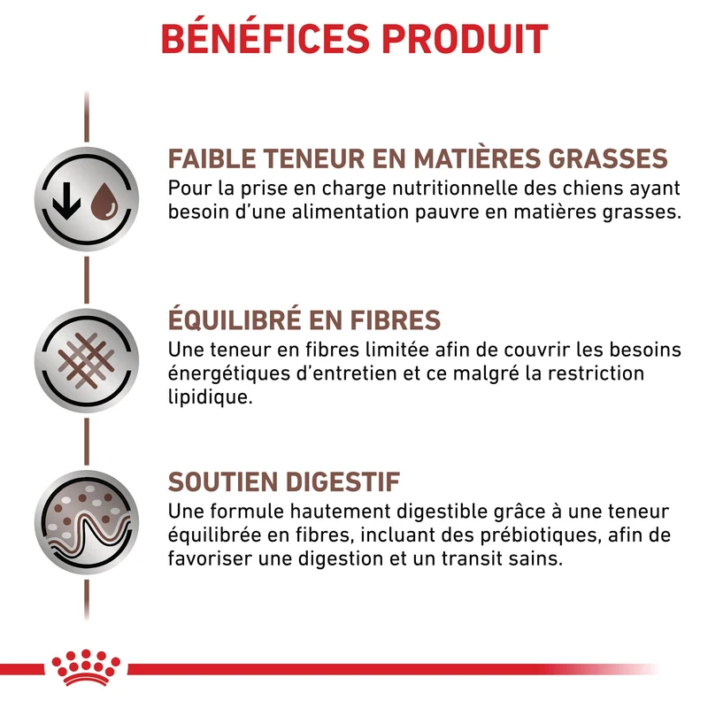 Royal Canin Veterinary Gastrointestinal Low Fat Small Dog – croquettes chien
