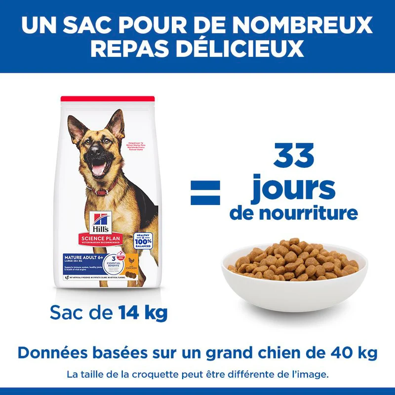 Hill's Science Plan Large Mature Adult 6+ au poulet - croquettes chien