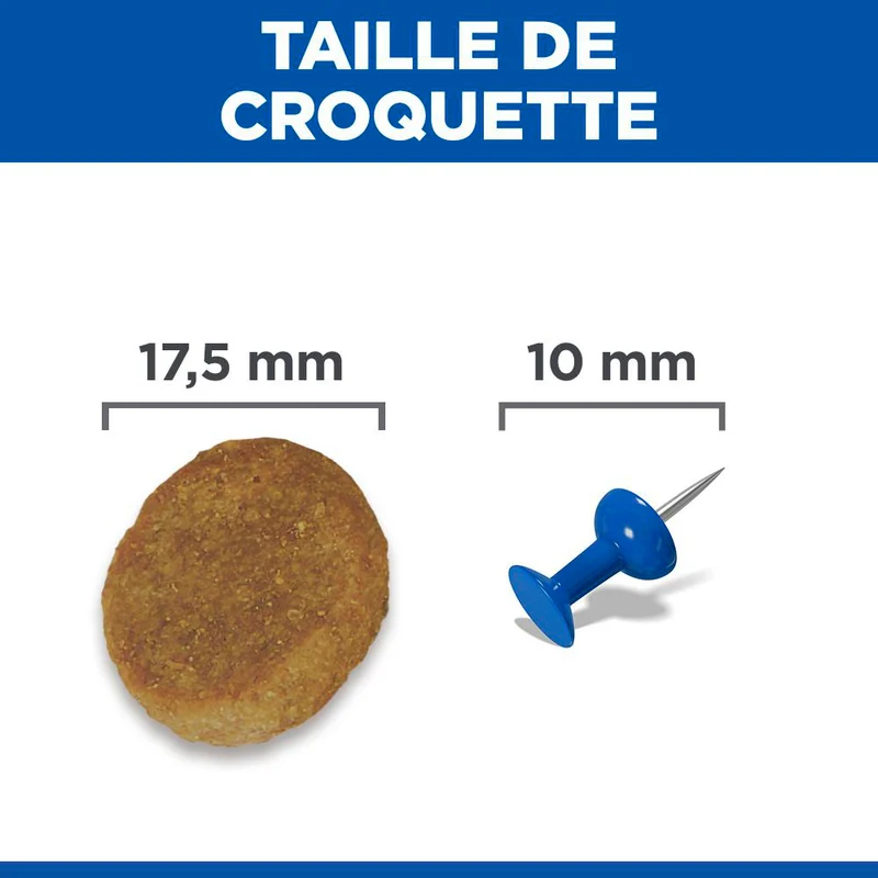 Hill's Science Plan Large Mature Adult 6+ au poulet - croquettes chien