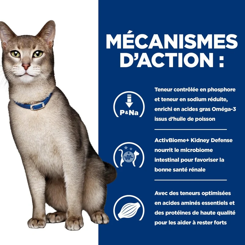 Hill's Prescription Diet k/d Kidney Care en bouchées mijotées au thon - pâtée chat