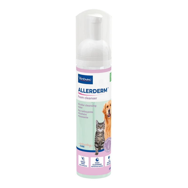 Allerderm Foam chat, chien