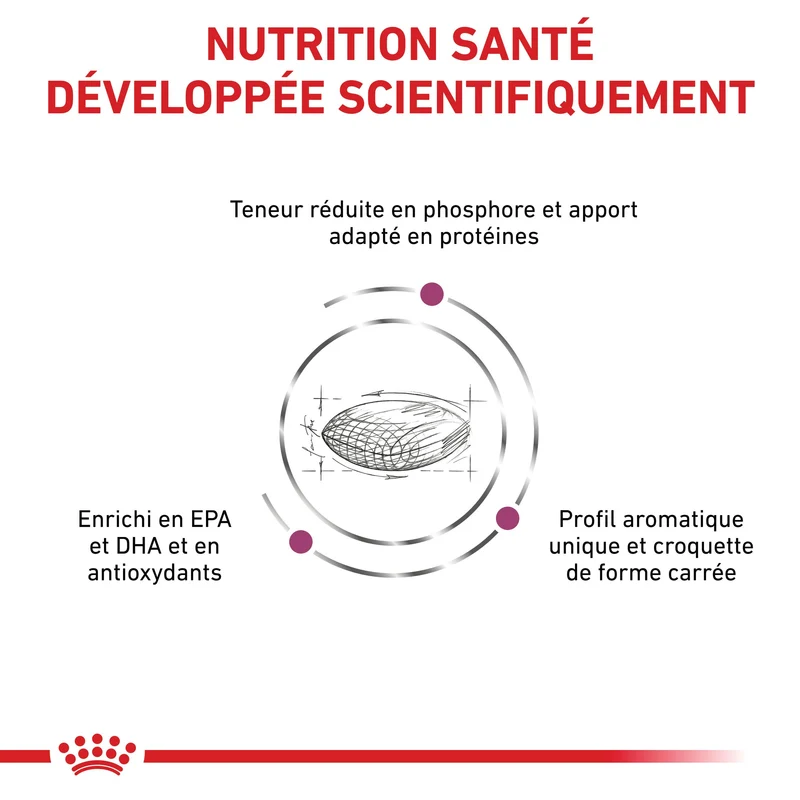 Royal Canin Veterinary Renal - aliment pour chien