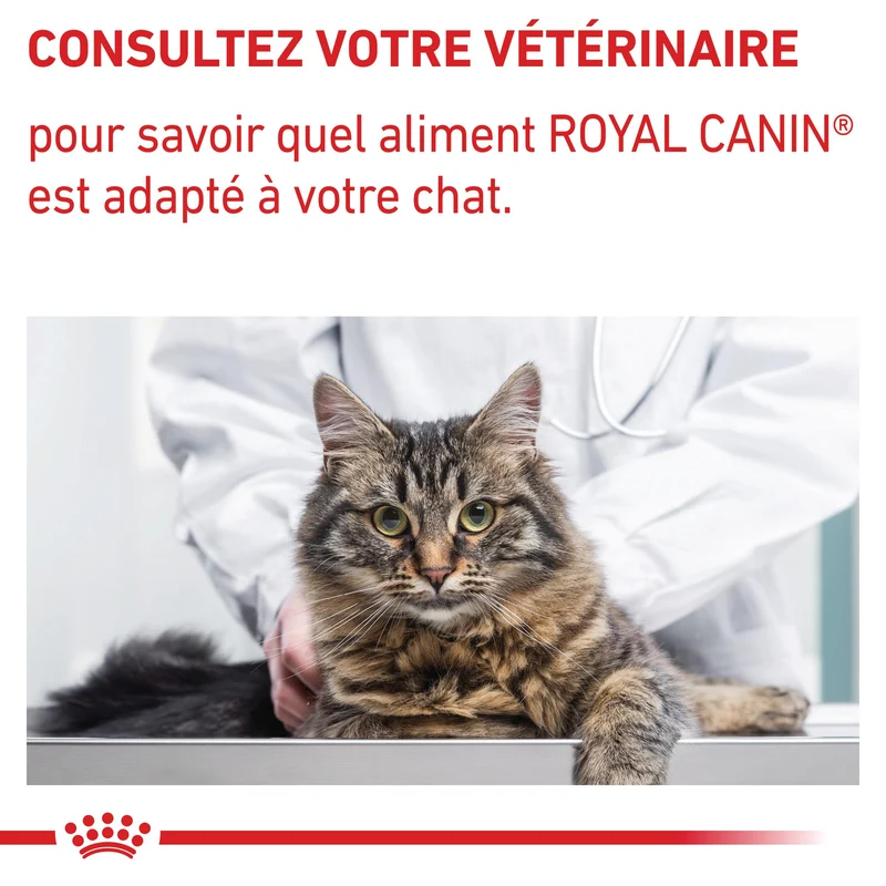 Royal Canin Vet Care Adult