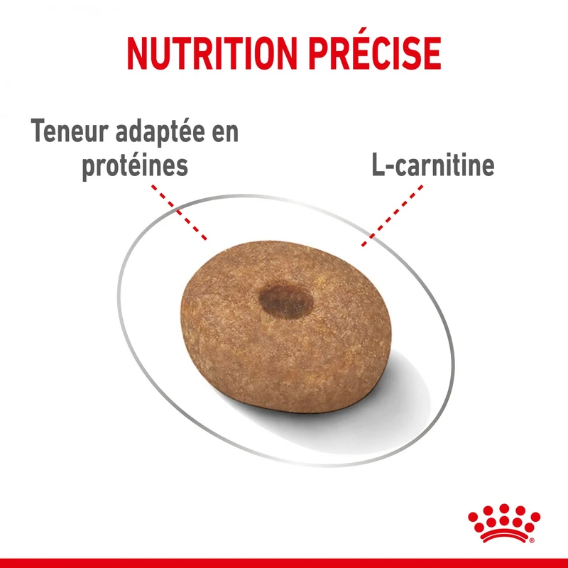 Royal Canin Mini Light Weight Care - Croquettes pour chien