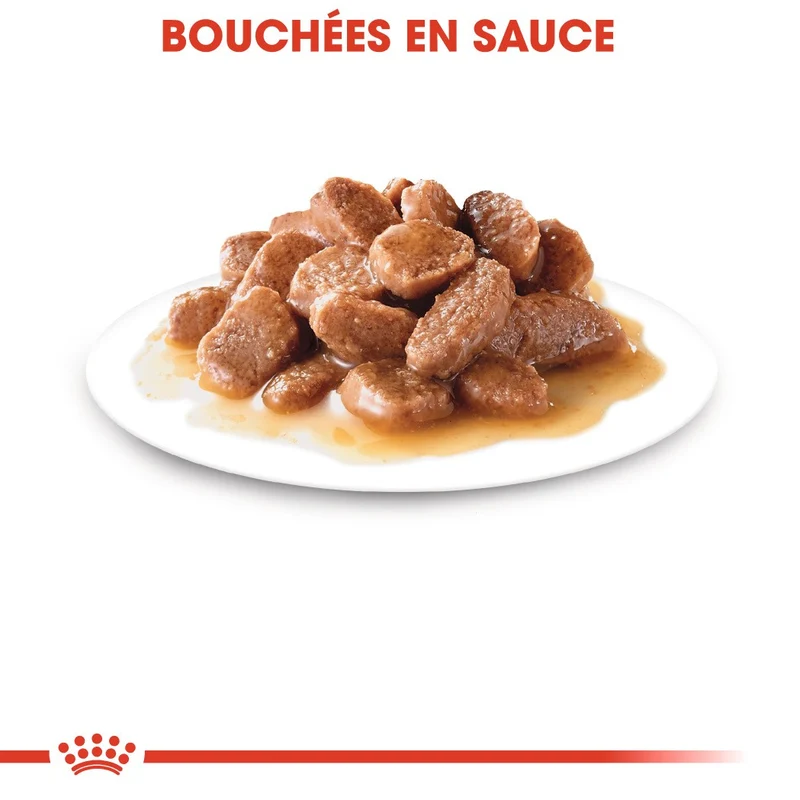 Royal Canin Instinctive - pâtée chat