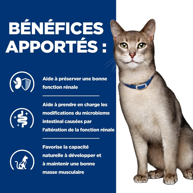 Hill's Prescription Diet k/d Kidney Care en bouchées mijotées au poulet - pâtée chat