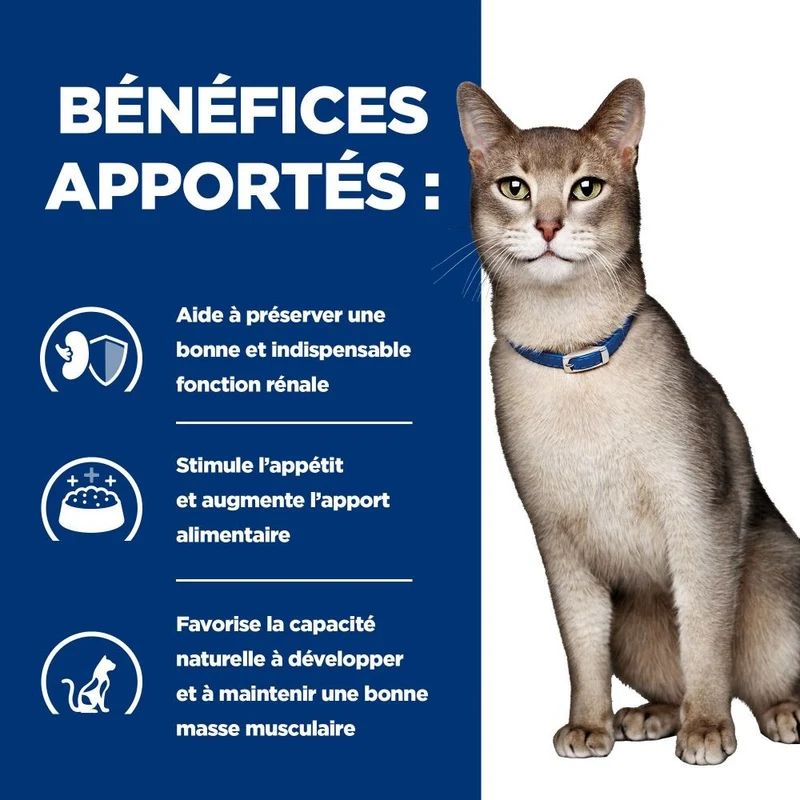 Hill's Prescription Diet k/d Kidney Care en bouchées au poulet - pâtée chat