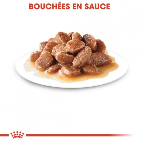 Royal Canin Sterilised - pâtée chat