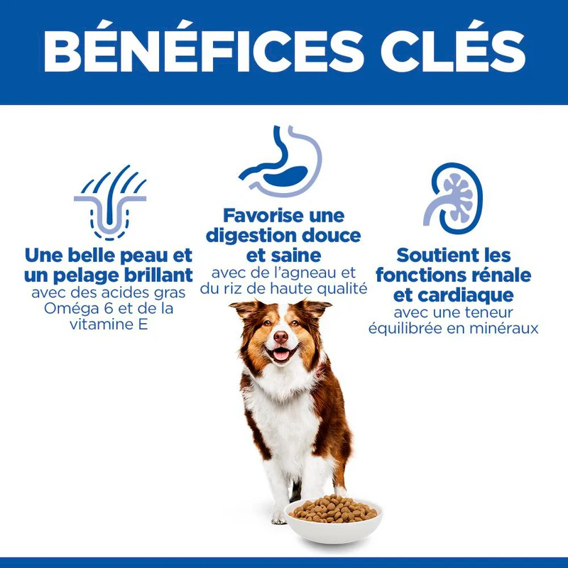 Hill's Chien Mature Adult 7+ Medium Agneau & Riz 14kg