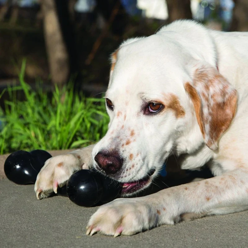 Os jouet à mâcher ultra-résistant Extreme Goodie Bone Kong chien