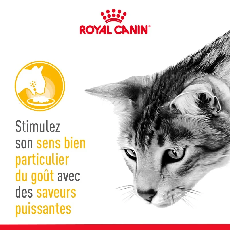 Royal Canin Sensory Taste - pâtée chat