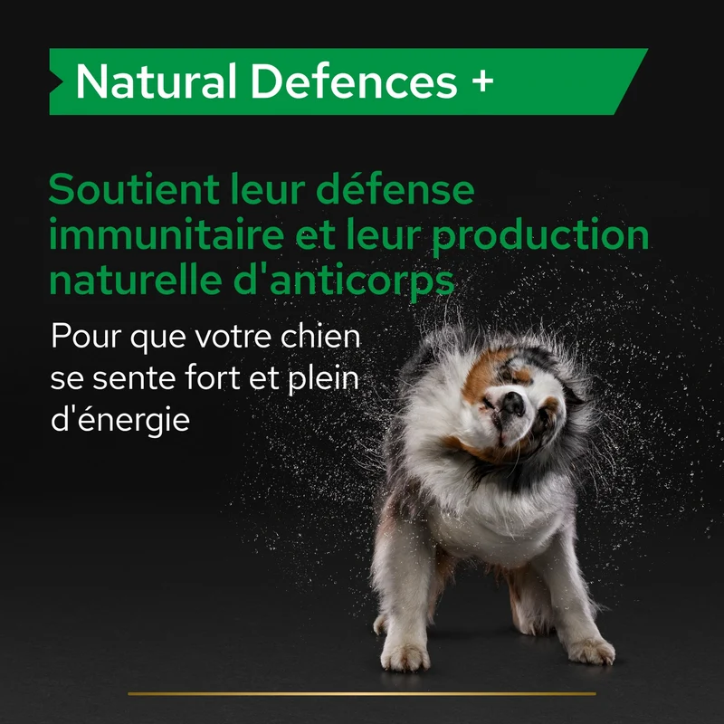 Pro Plan® Natural Defenses+ en comprimés chien