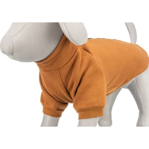 Sweat CityStyle Amsterdam orange rouille chien