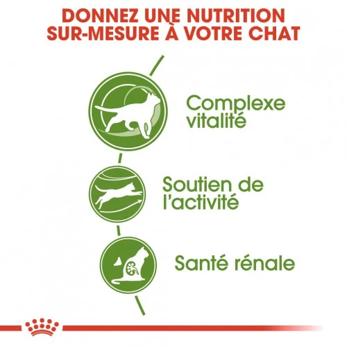 Royal Canin Outdoor 7+ - croquettes chat