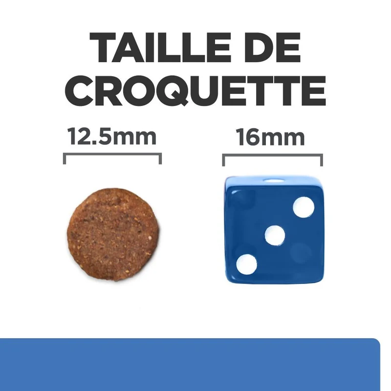 Hill's Prescription Diet Derm Complete - croquettes chien