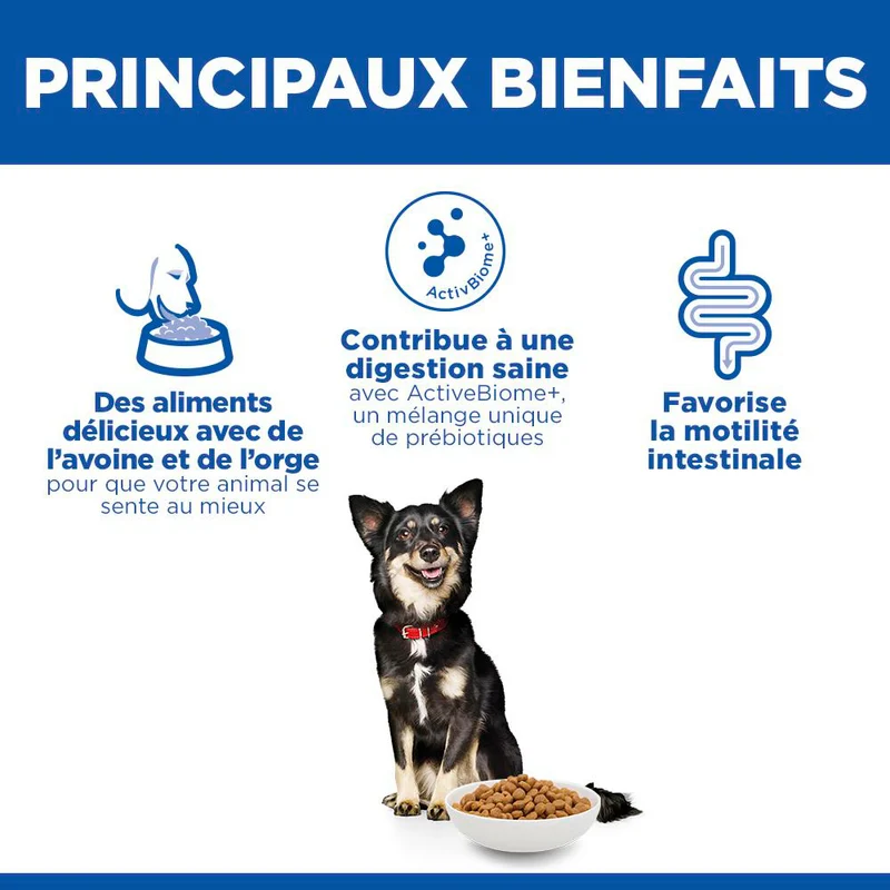 Hill's Science Plan Perfect Digestion Small & Mini Adult au poulet - croquettes chien
