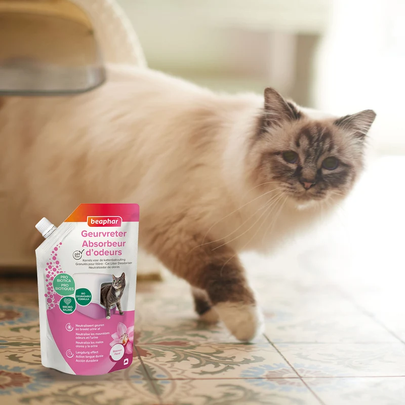 Absorbeur d'odeurs en poudre
