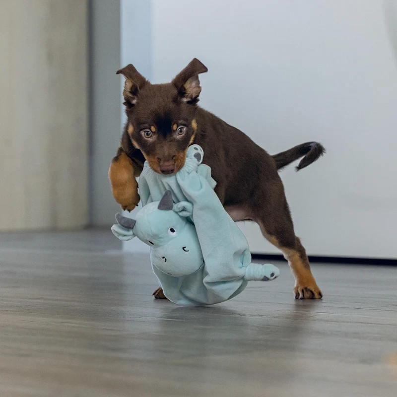 Doudou Dragon chiot