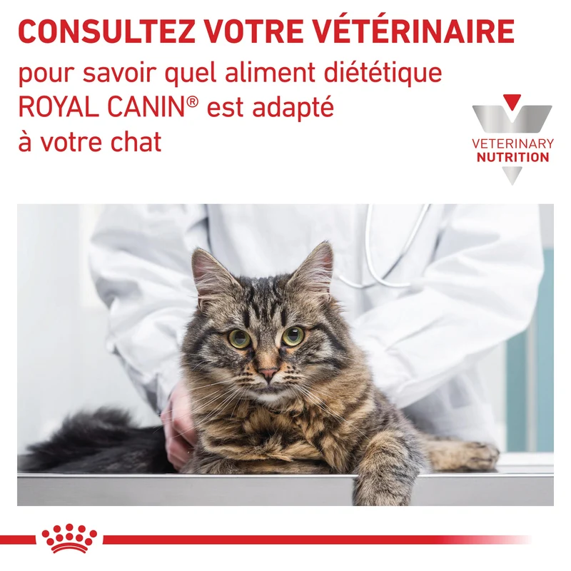 Royal Canin Veterinary Satiety Weight Management - aliment chat