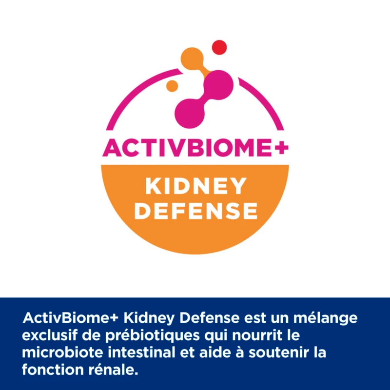 Hill's Prescription Diet k/d Kidney Care au Saumon - croquettes chat