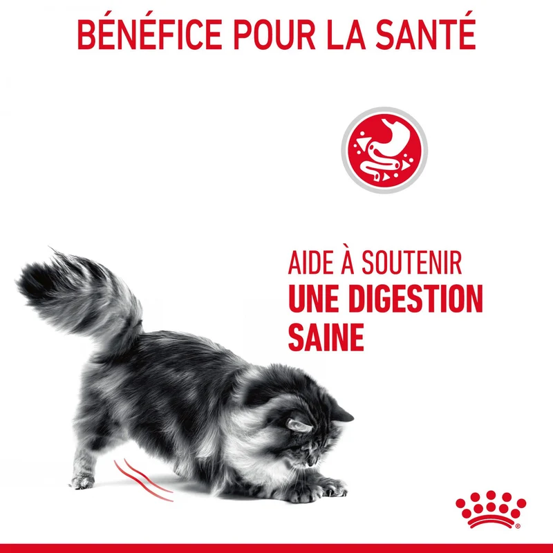 Royal Canin Digestive Care - croquettes chat