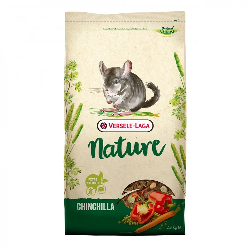 Nature chinchilla